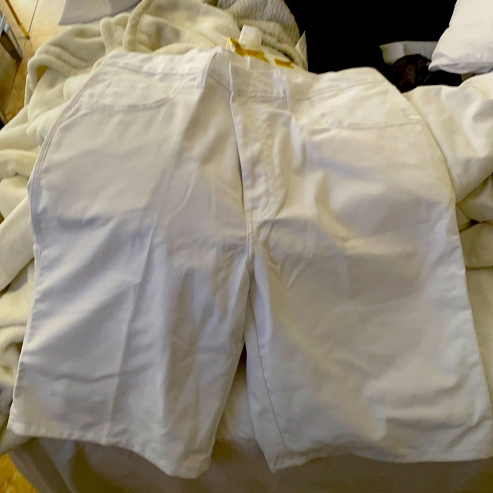 Size 34 Dickies shorts